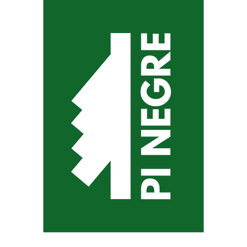 PiNEGRE Logo